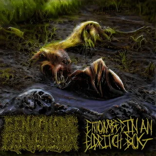Entombed in an Eldritch Bog cover