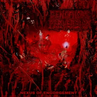 Nexus of Engorgement cover