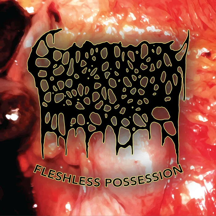 Fleshless Possession cover
