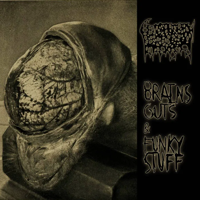 Brains, Guts, and Funky Stuff cover