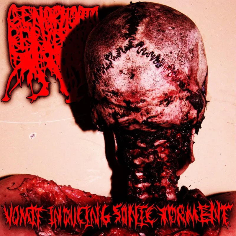 Vomit Inducing Sonic Torment cover