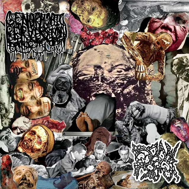 Flax x Genophobic Perversion cover