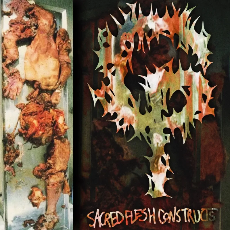 Sacred Flesh Constructs cover