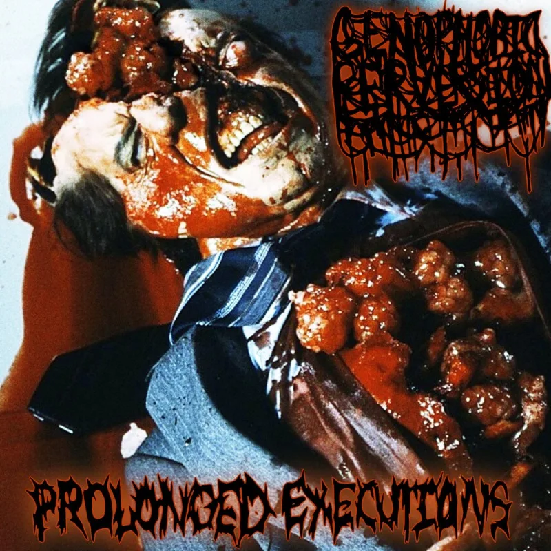 Prolonged Executions cover