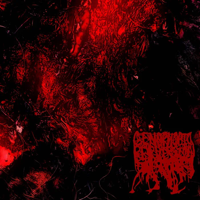 Songs About Love and Understanding cover