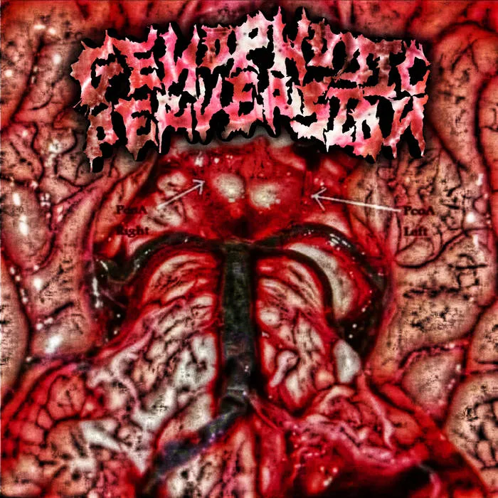 Loss of Vitality cover