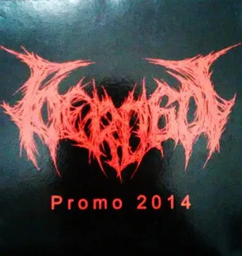 Promo 2014 cover