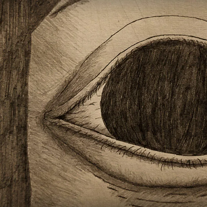 A Place Once Known cover