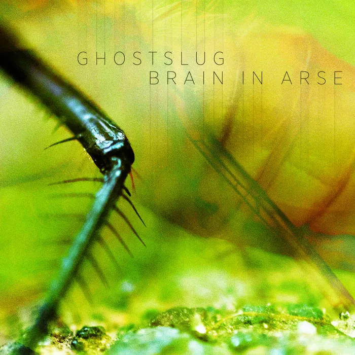 Ghostslug / Brain In Arse cover