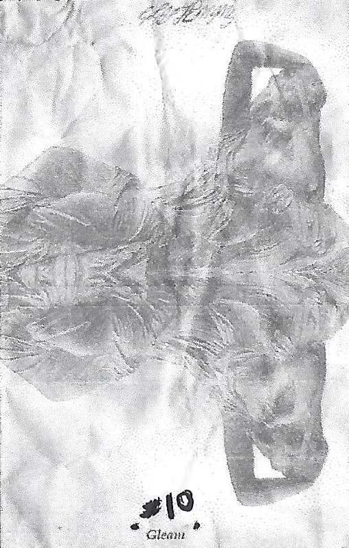 #10 'Gleam' cover