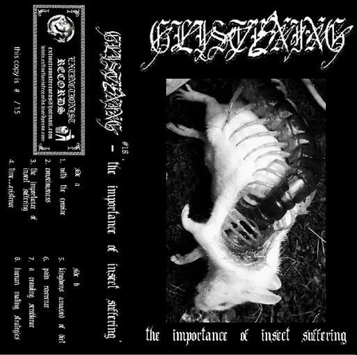 #18 'The Importance of Insect Suffering' cover