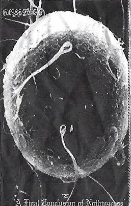 #29 'A Final Conclusion of Nothingness' cover