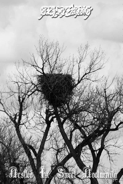 Nestled in Sweet Nocturnity cover