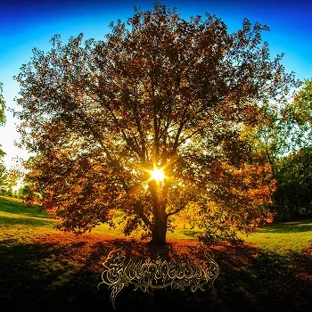 Gloamingwald cover