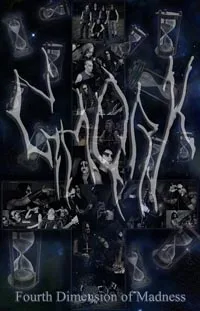 Fourth Dimension of Madness cover