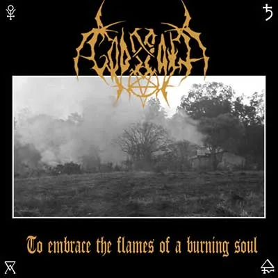 To Embrace the Flames of a Burning Soul cover