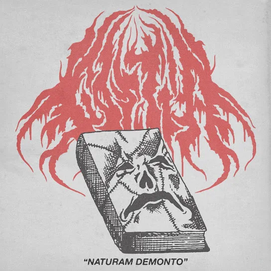 Naturam Demonto cover
