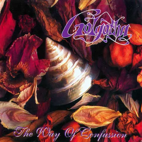 The Way of Confusion cover