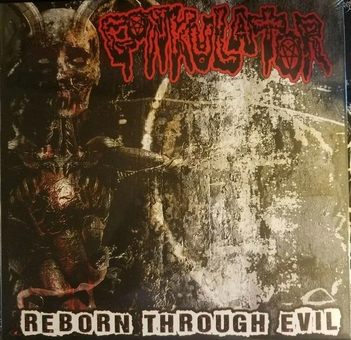 Reborn Through Evil cover
