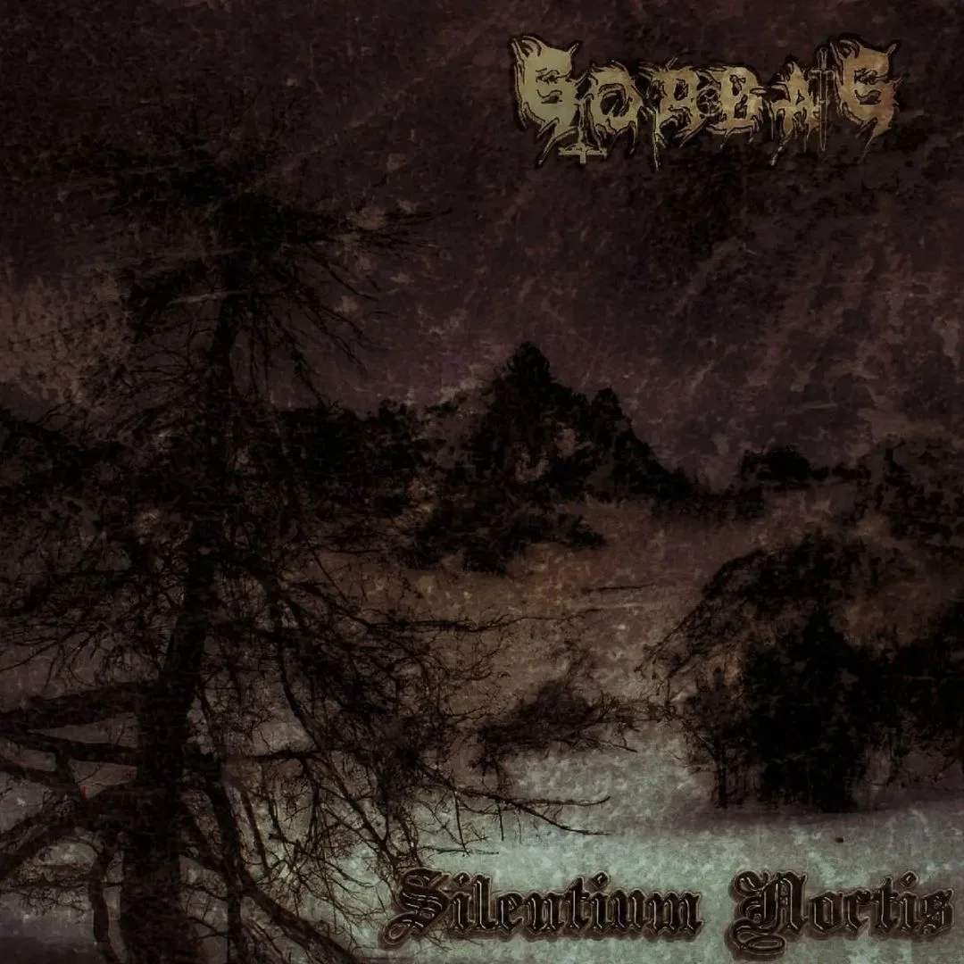 Silentium Noctis cover