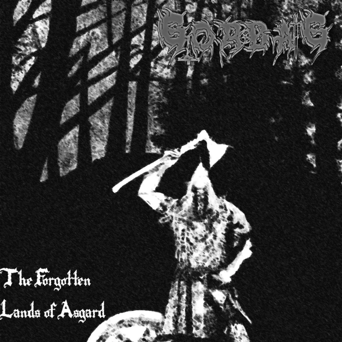 The Forgotten Lands of Asgard cover