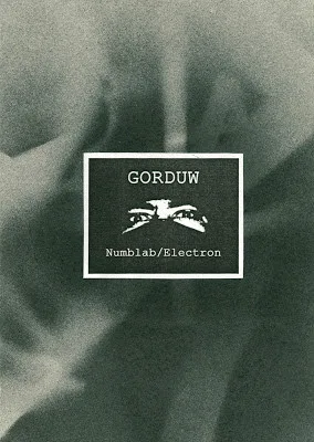 Numblab / Electron cover