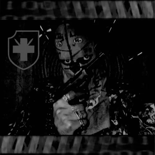 XXXIII CIF. SS Weapon cover