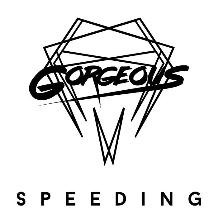 Speeding cover