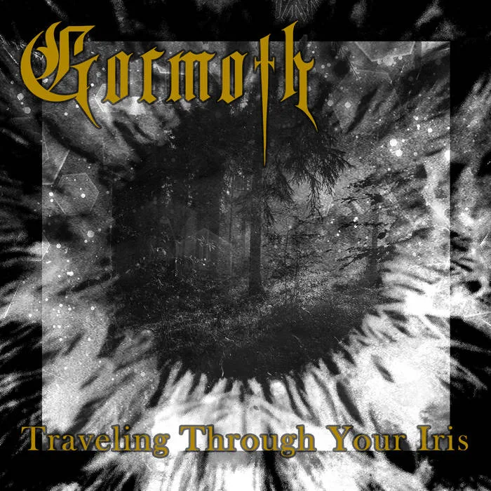 Traveling Through Your Iris cover