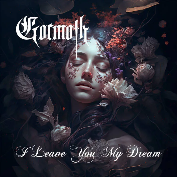 I Leave You My Dream cover