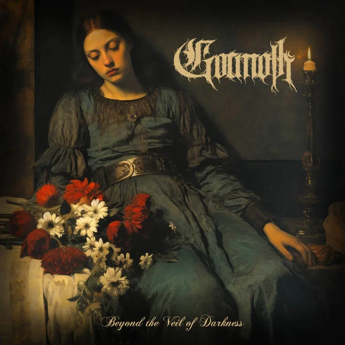 Beyond the Veil of Darkness cover