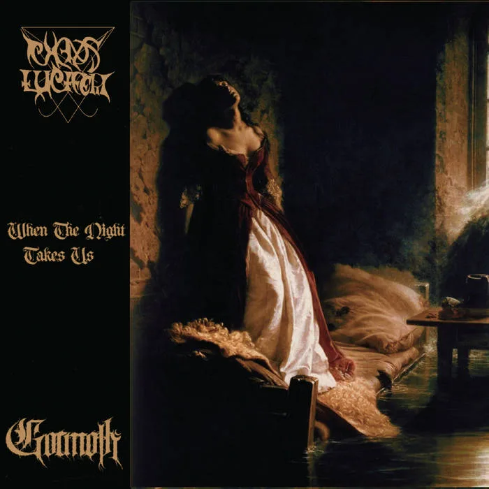 When the Night Takes Us cover