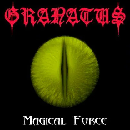 Magical Force cover