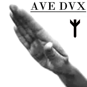 Ave Dvx cover