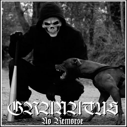 No Remorse cover