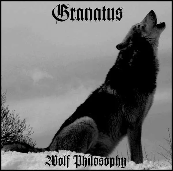 Wolf Philosophy cover
