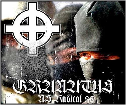 NS Radical 88 cover