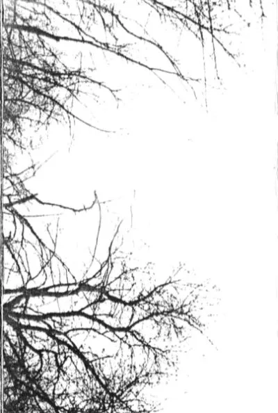 Born Under Occult Intentions cover