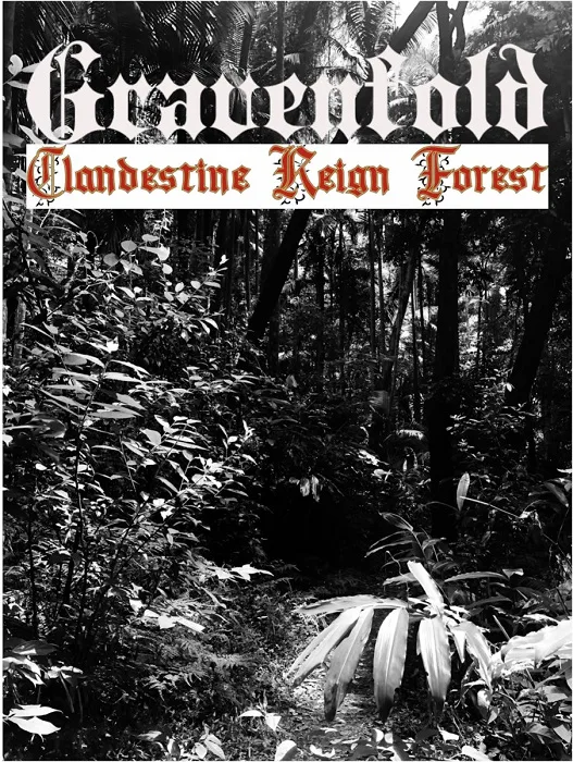 Clandestine Reign Forest cover