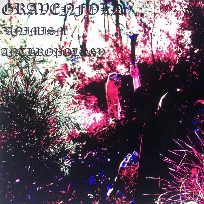 Animism / Anthropology cover