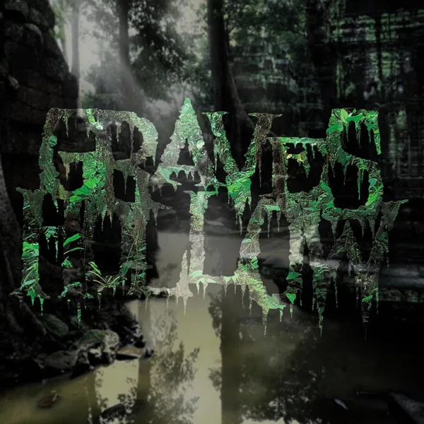Within the Vines cover