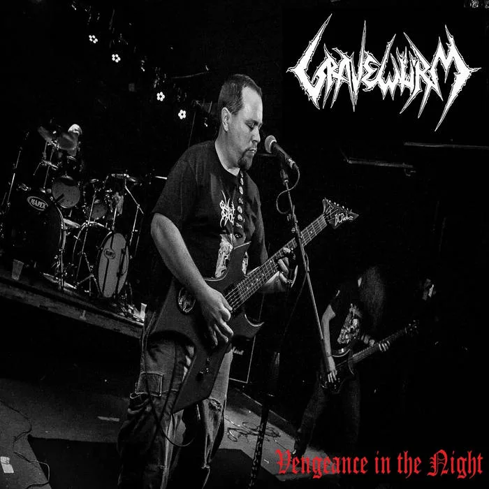 Vengeance in the Night - Live - 2014 cover