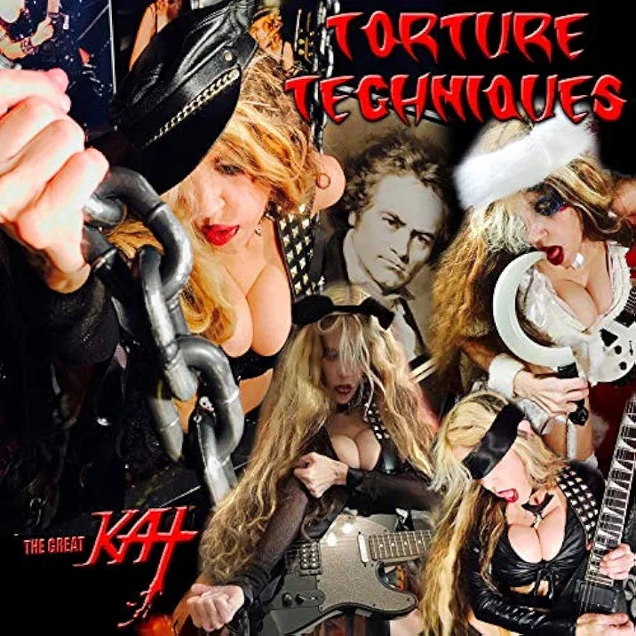 Torture Techniques cover