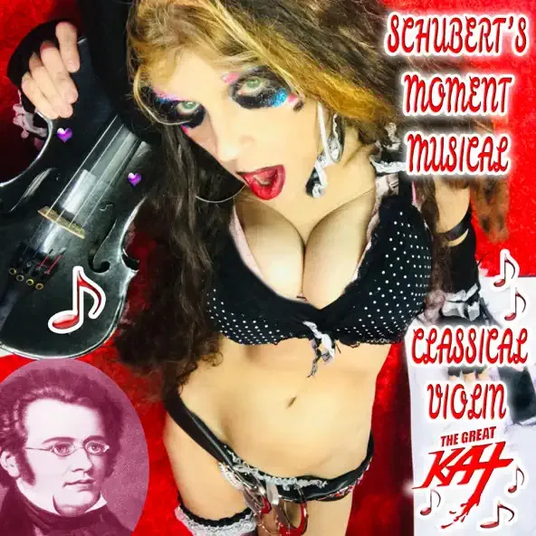 Schubert's Moment Musical Classical Violin cover