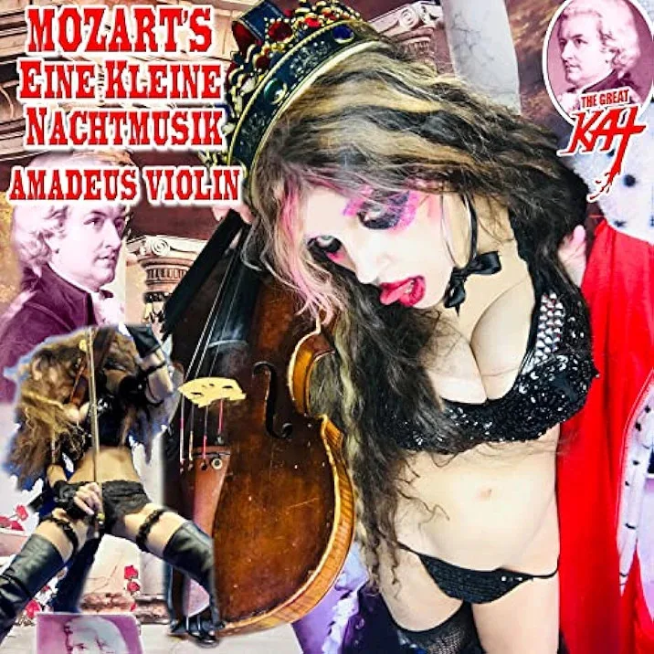 Mozart's Eine Kleine Nachtmusik Amadeus Violin cover