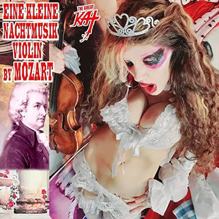 Eine Kleine Nachtmusik Violin by Mozart cover