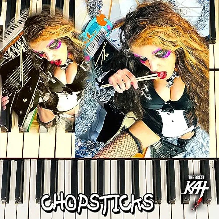 Chopsticks cover