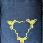 Intimate Wound cover
