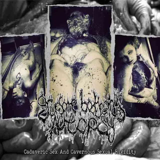 Cadaveric Sex and Cavernous Genital Rigidity cover
