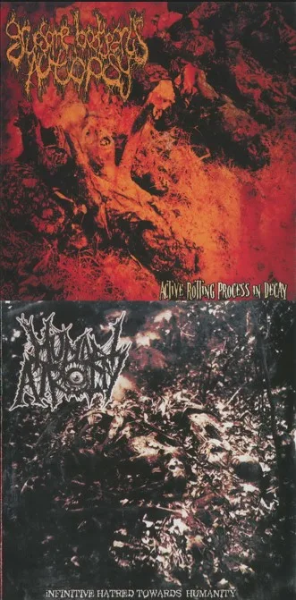 Active Rotting Process in Decay / Infinitive Hatred Towards Humanity cover